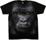 ФУТБОЛКА MAJESTIC GORILLA, код LIQUID BLUE 31130