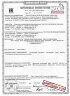 Граната учебно-имитационная пиротехническая (ГУИП) RAG "Заряд" М (содержит мел), пр. НПО "Аспект" (групповая тара 30 штук)
